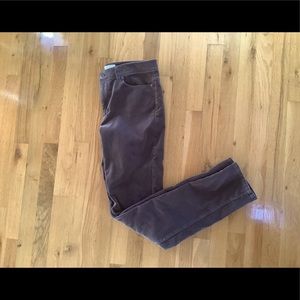 J Jill velveteen slim leg pants. 6 tall inseam